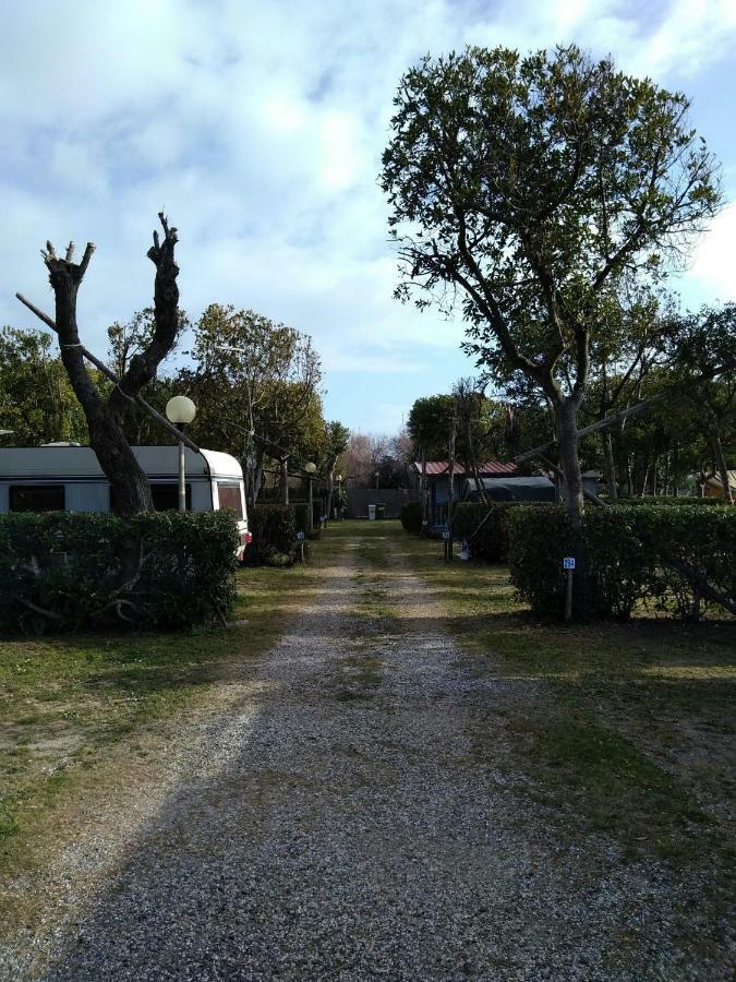 Campeggio Bocca Di Cecina マリーナ・ディ・チェーチナ エクステリア 写真